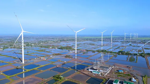 Hòa Bình Bạc Liêu quy tụ 5 dự án nhà máy điện gió quy mô lớn nhất khu vực