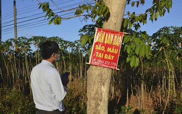 Đầu tư bất động sản nên tìm 1 công ty bất động sản uy tín trên thị trường để tranh rủi ro, thị trường đất nền Sóc Trăng đang ngày càng phát triển. Ảnh minh hoạ